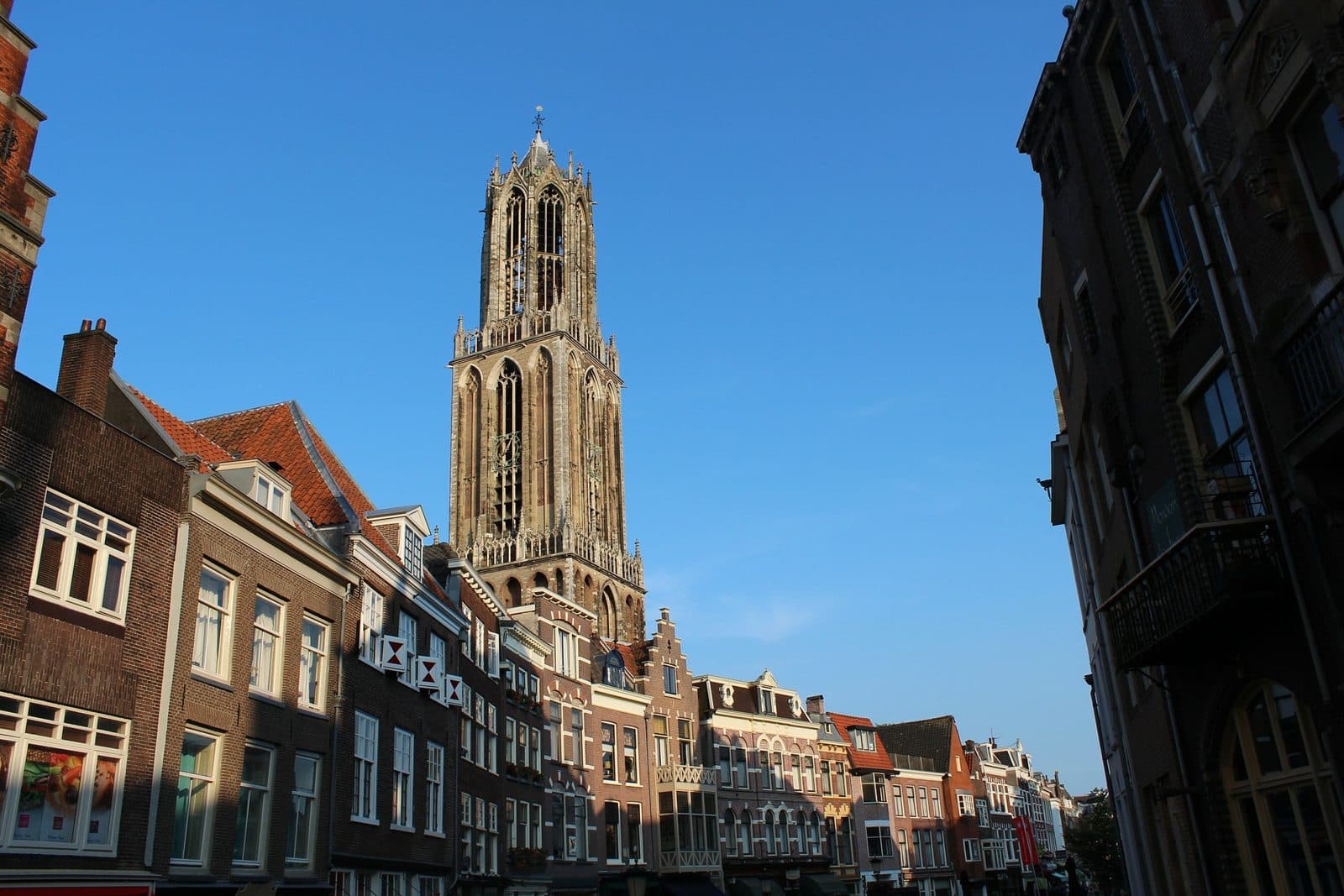 De Domtoren boven de huizen van Utrecht